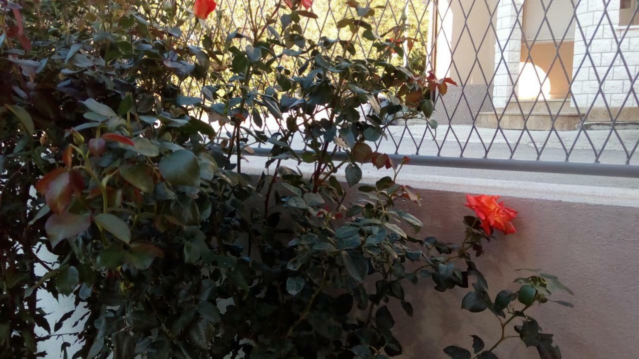 פודסטראנה Apartment Sunce מראה חיצוני תמונה